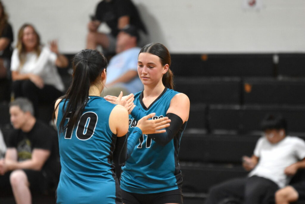 Palumbo sophomore hits volleyball milestone