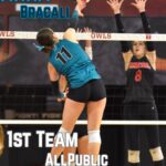 Girls Volleyball All-Public Honors