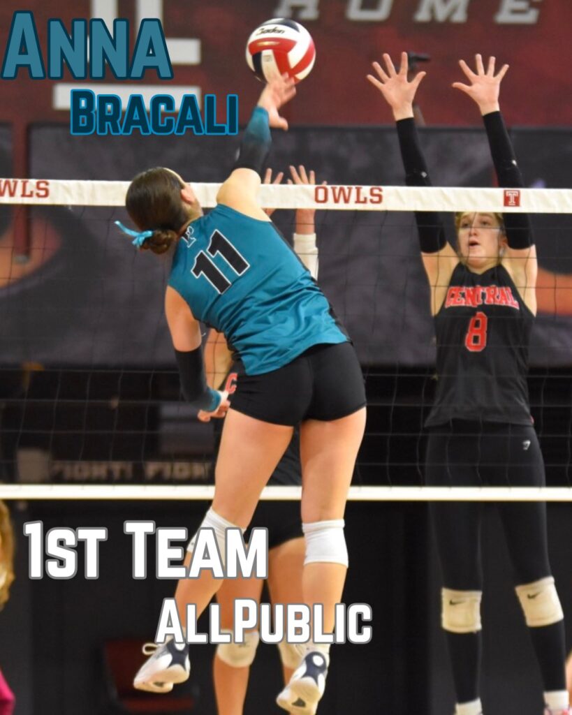 Girls Volleyball All-Public Honors