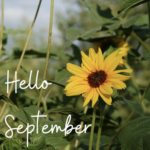 Weekly Updates - Students/Parents August 31 - September 4, 2026