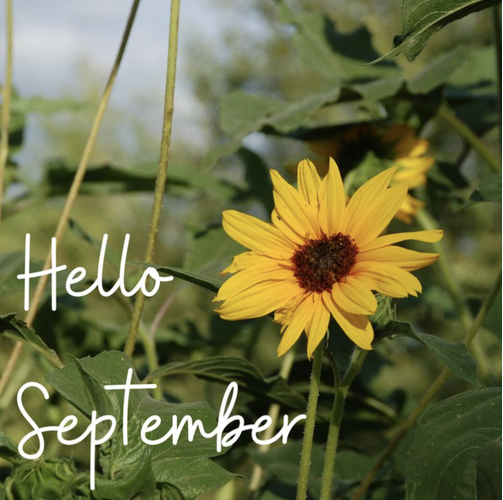 Weekly Updates - Students/Parents August 31 - September 4, 2026